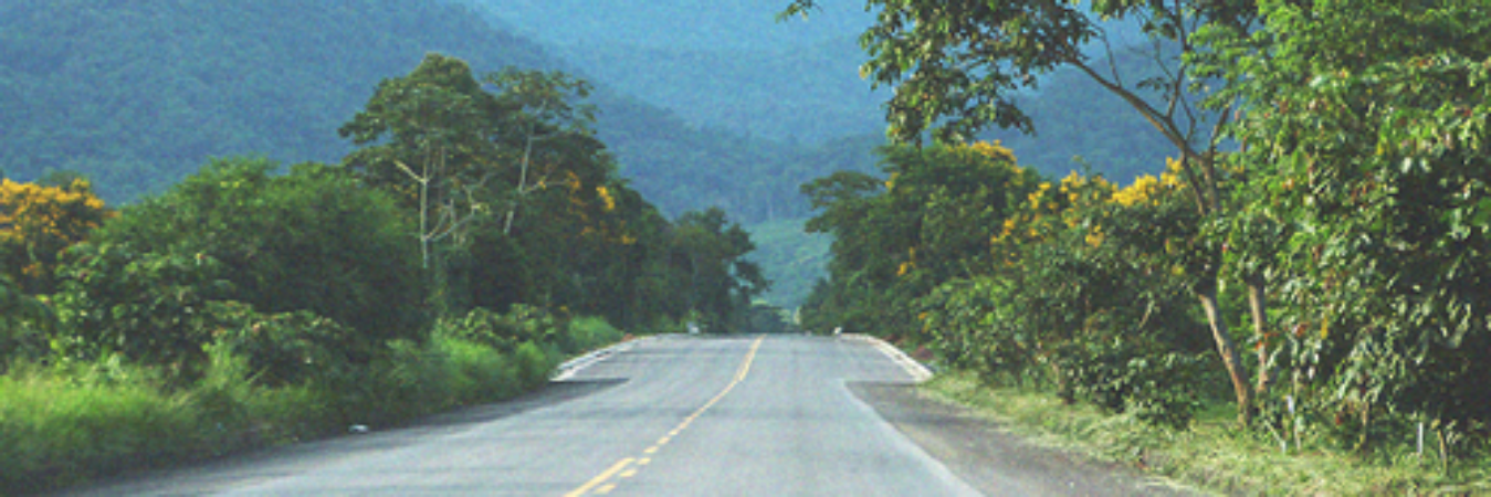 katjeah's profile banner image