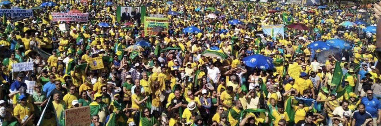 Sonia Alvim Malta banner