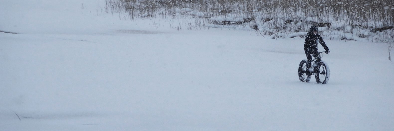 AdonisChang's profile banner image