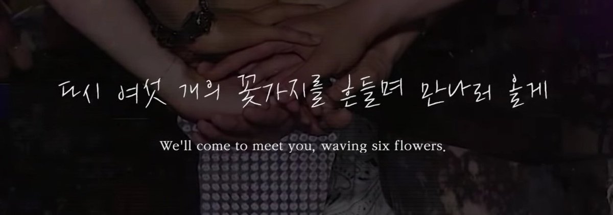 Fifidiandra's profile banner image