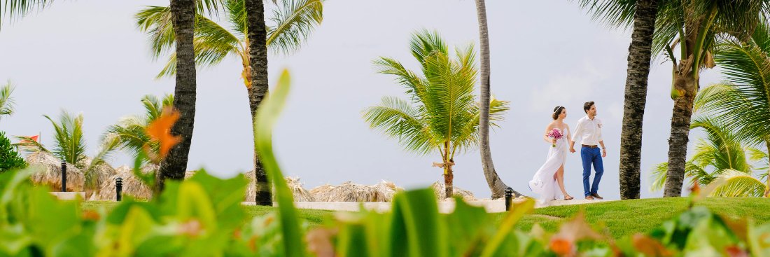 juliotrin's profile banner image