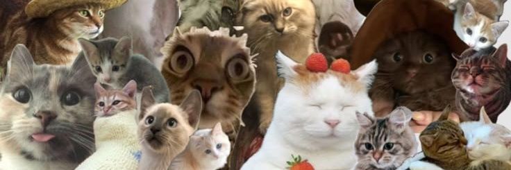 danny_sou_eu's profile banner image