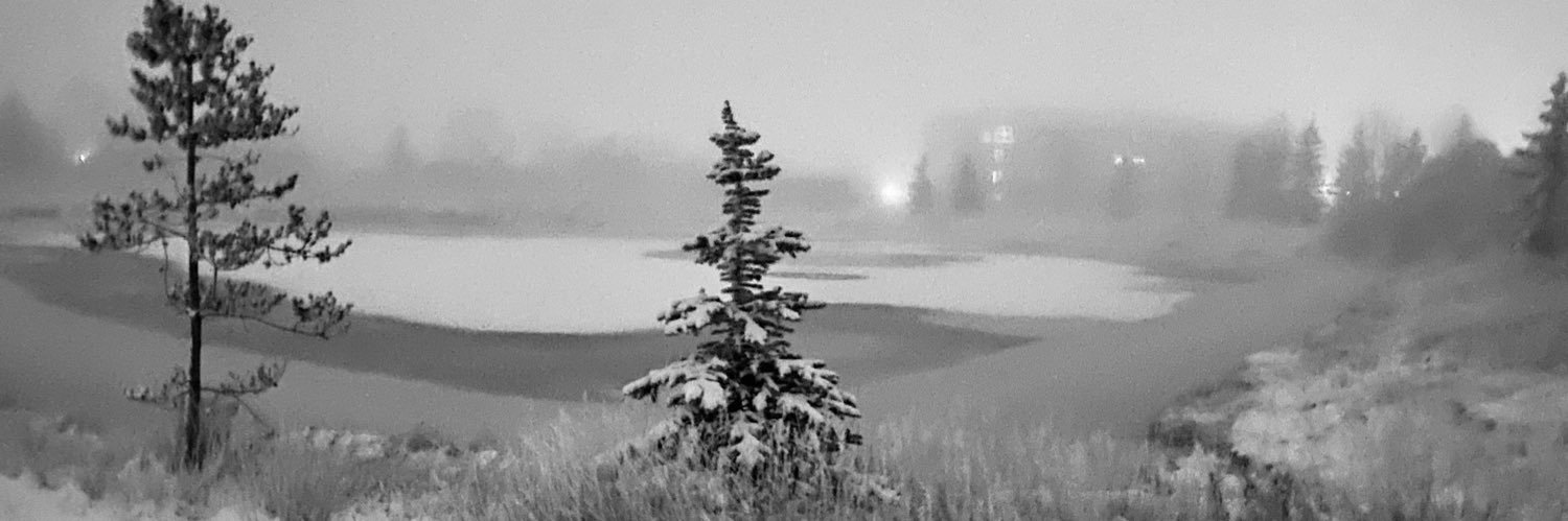 Windy1890's profile banner image