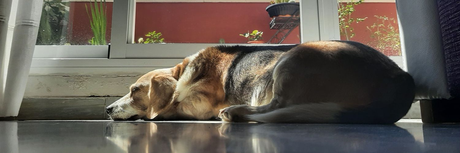 Eleniux_5's profile banner image