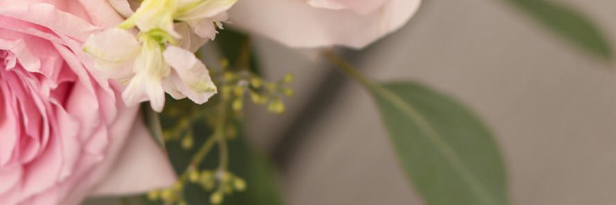 0120_chie's profile banner image