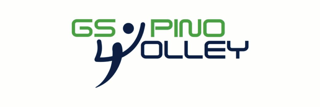 GSPinoVolley's profile banner image
