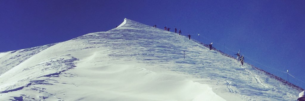 happytess's profile banner image