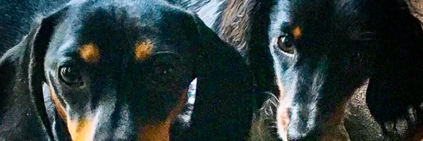 HelenBerry8 Profile Banner