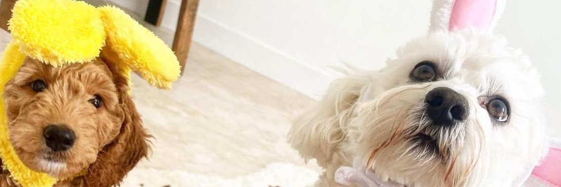 jillypink78's profile banner image