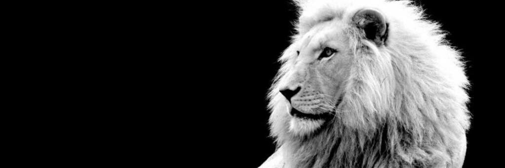 ronperry_'s profile banner image