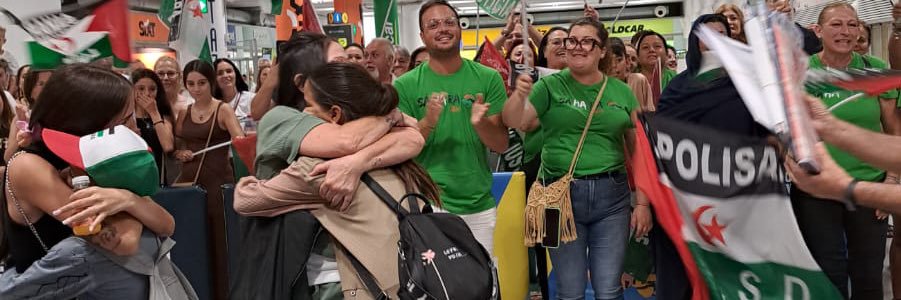 Sahara Sevilla banner