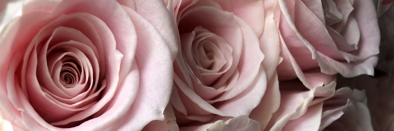 Angeline__Mvsn's profile banner image