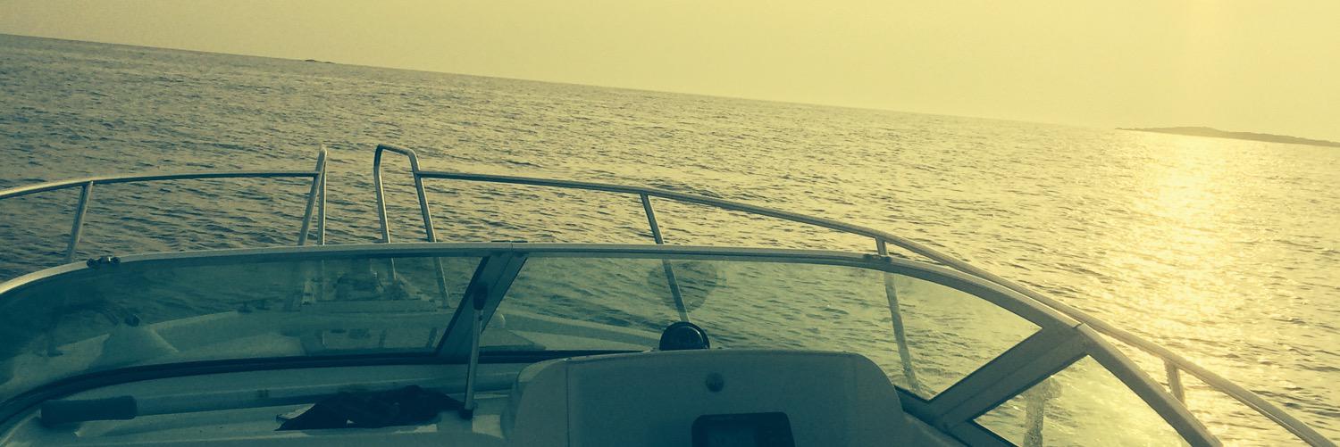 SeanAndy Ó Ceallaigh banner