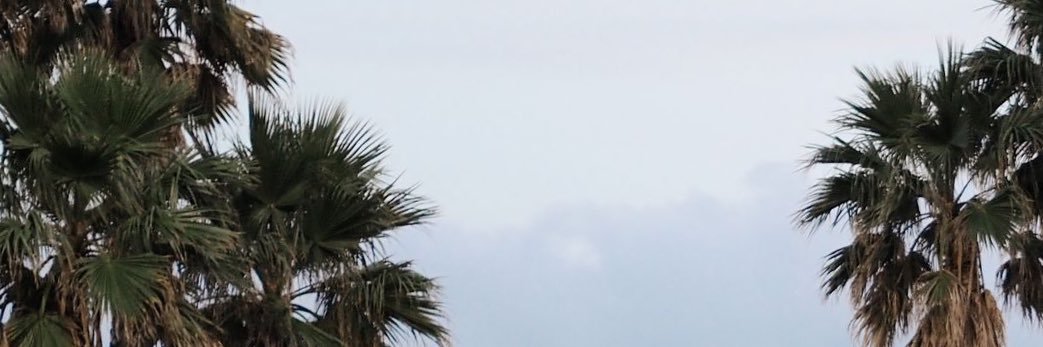 crotgerroca's profile banner image