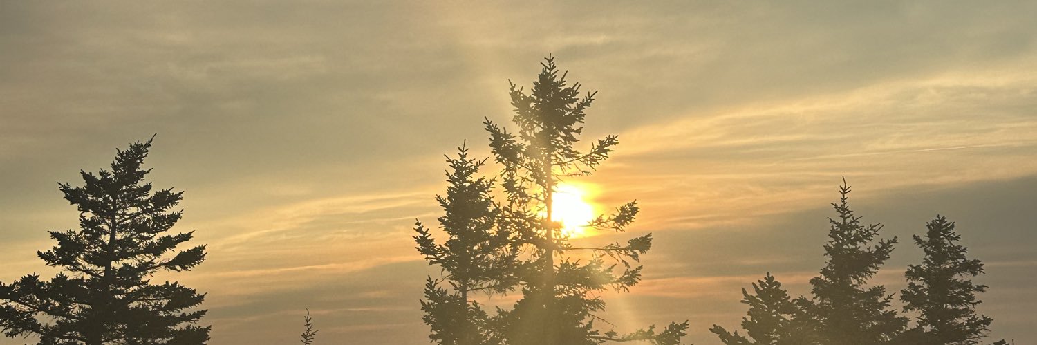 _leticiaa2's profile banner image