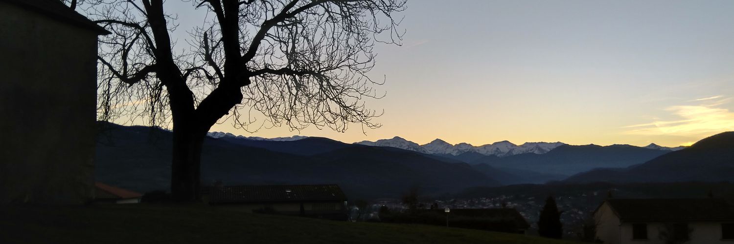 fabrice descatoire banner
