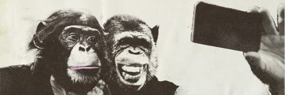 EdgarManteca's profile banner image