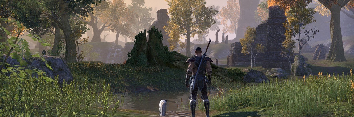 Matt Firor banner