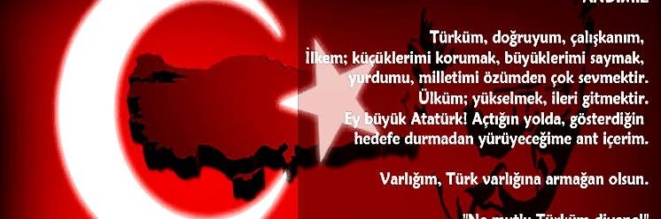 vildan banner