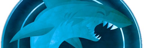 sharkyflusha banner