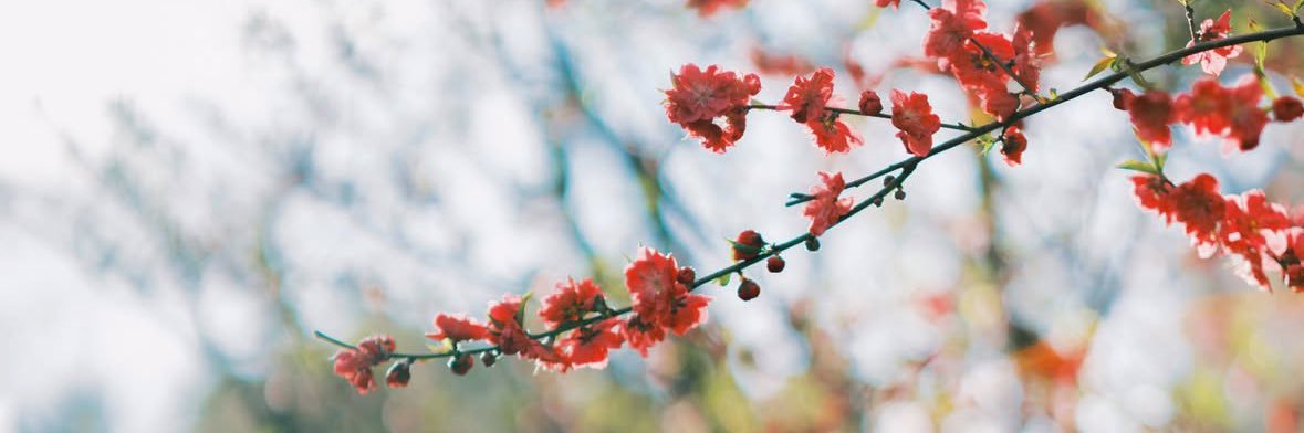 Vanila478's profile banner image
