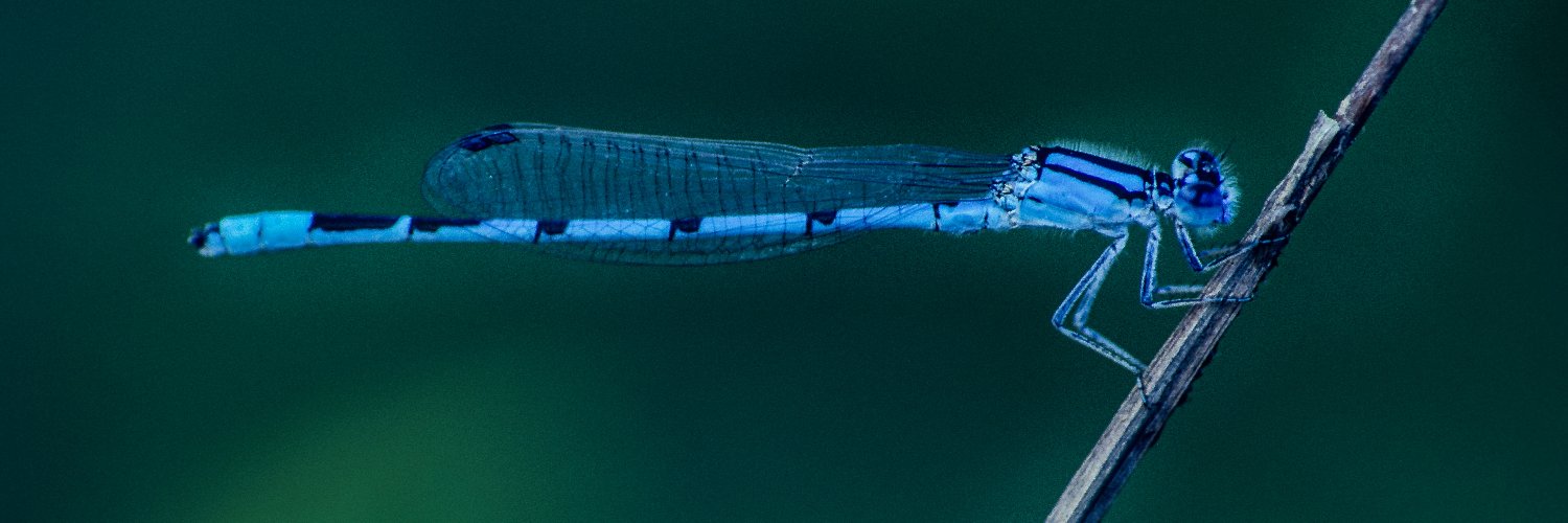 Nature_DCMD's profile banner image