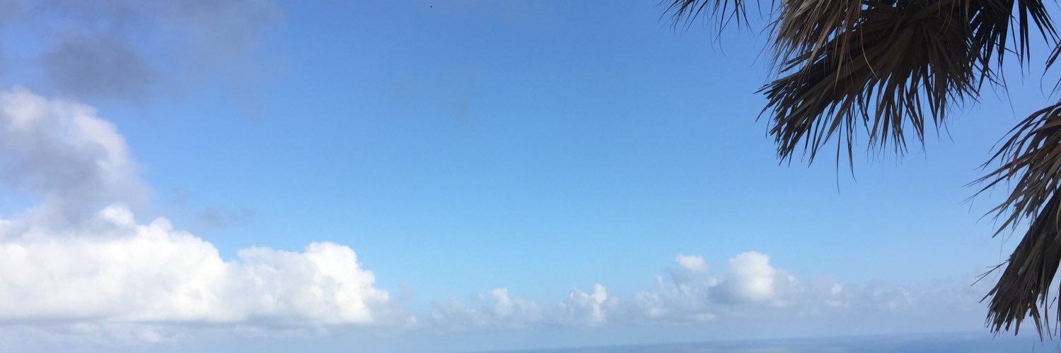 erikglu's profile banner image