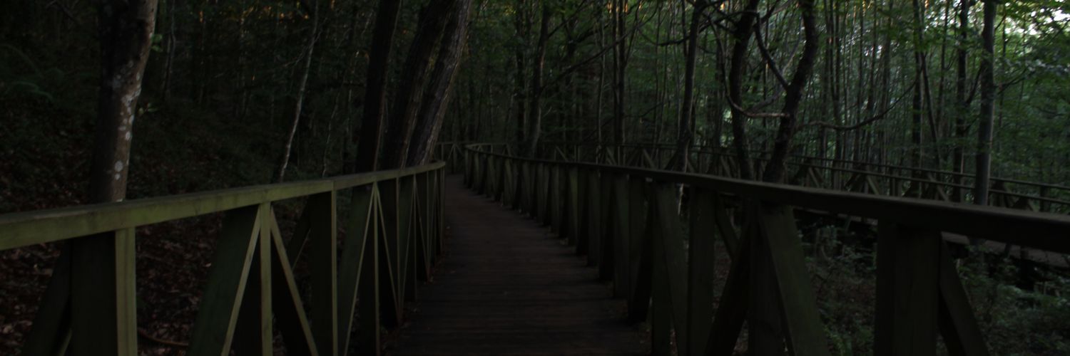 _pejotilla's profile banner image