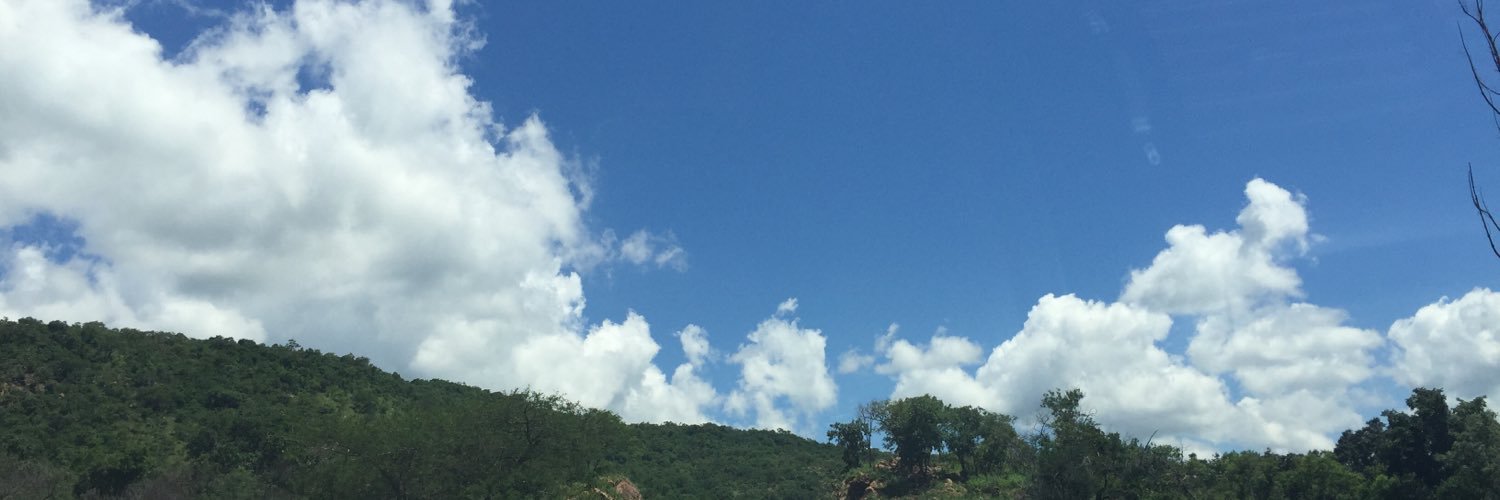bmaifo's profile banner image
