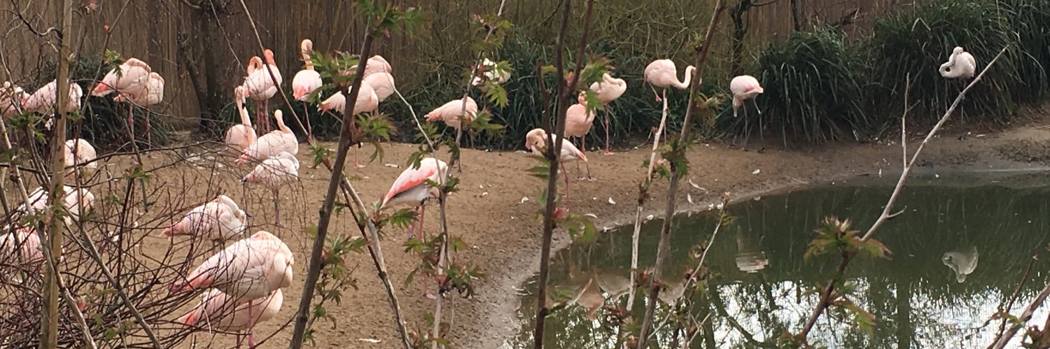 Victoria Daniel banner