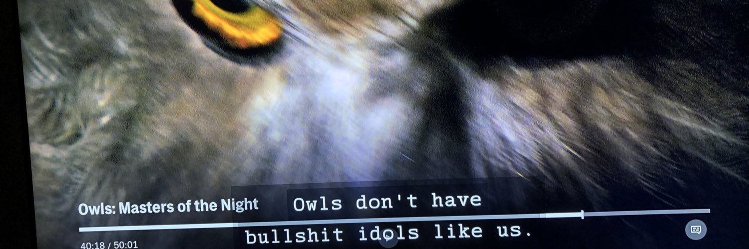 duckplusduck's profile banner image
