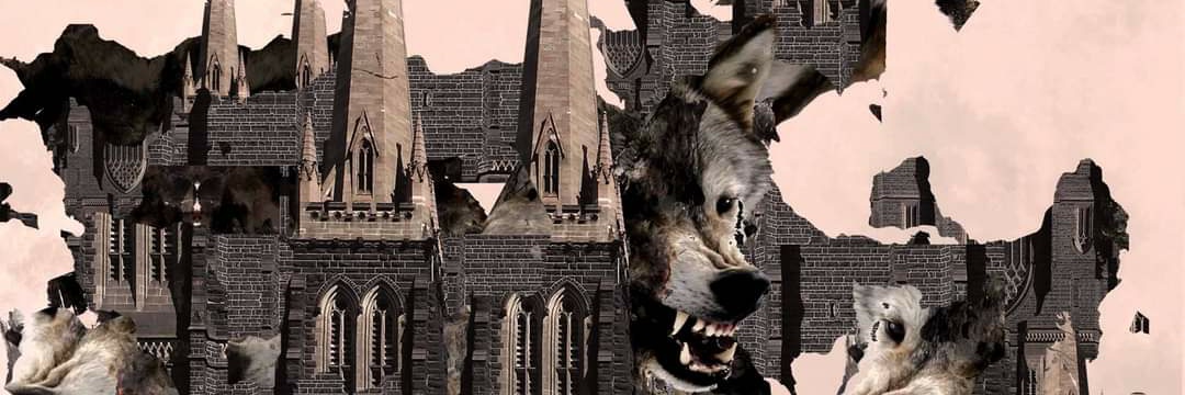 𝖇𝖚𝖉𝖍𝖆 banner