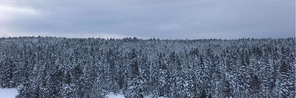masterful8's profile banner image