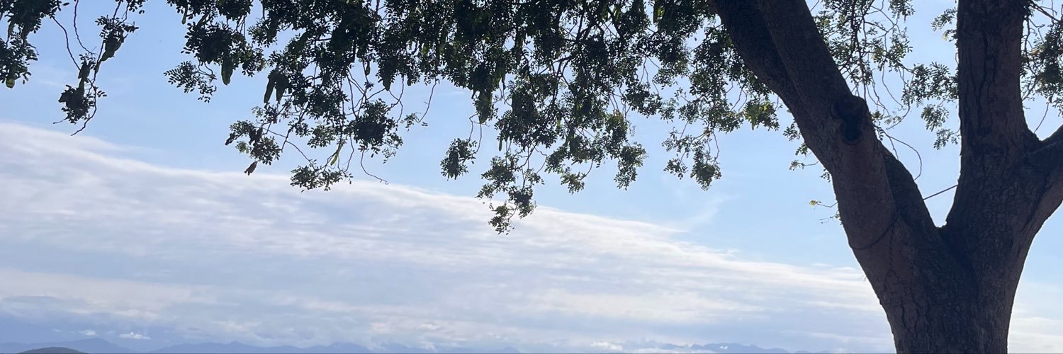 superdicasrio's profile banner image