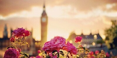 InfinityyLooove's profile banner image