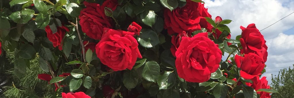 kasimcad's profile banner image