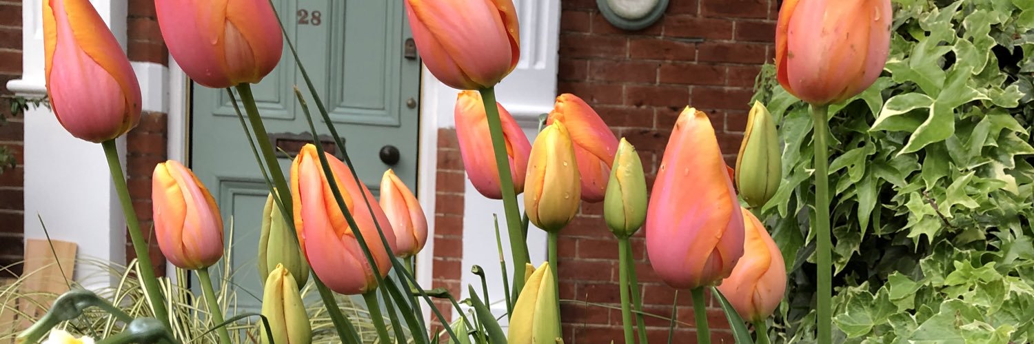 Ian Hugh Craig banner