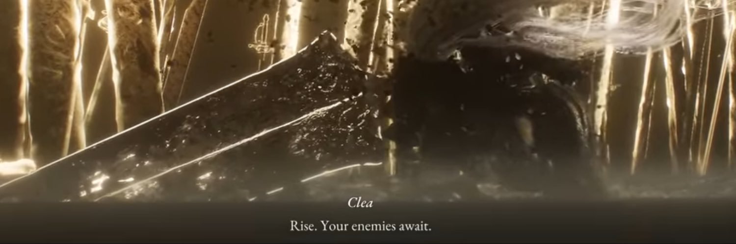 Rashid Alعwaisheer banner