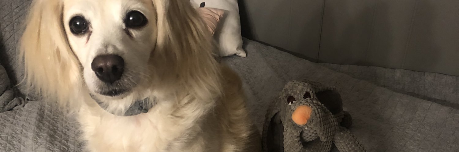 lauranicole1998's profile banner image