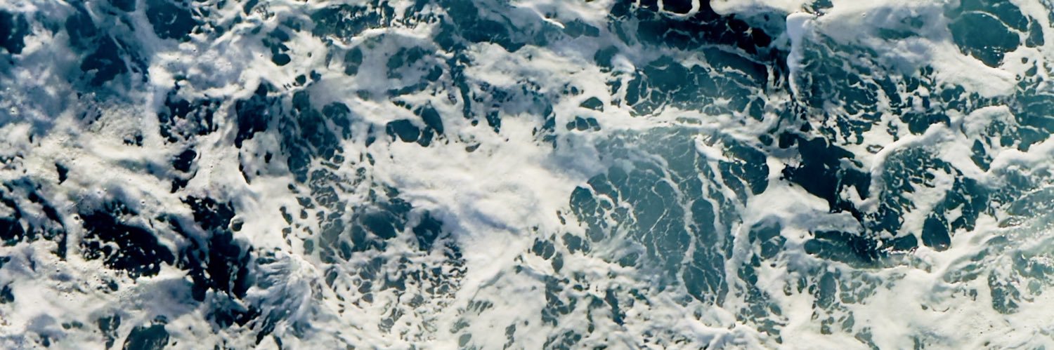 pandows's profile banner image
