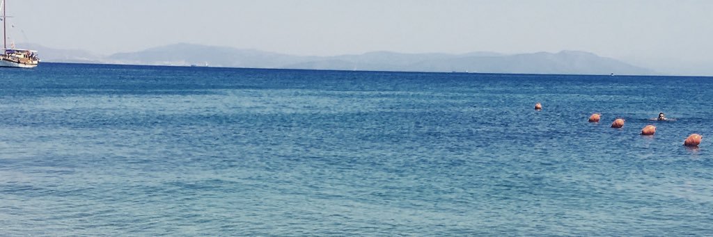 Renate banner