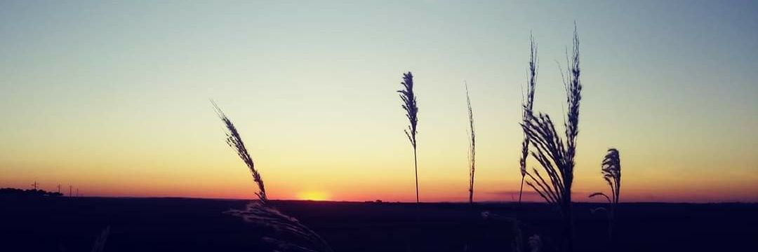 flapolioli's profile banner image