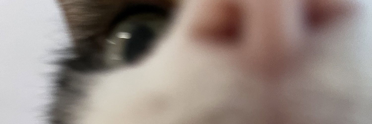 junedori's profile banner image