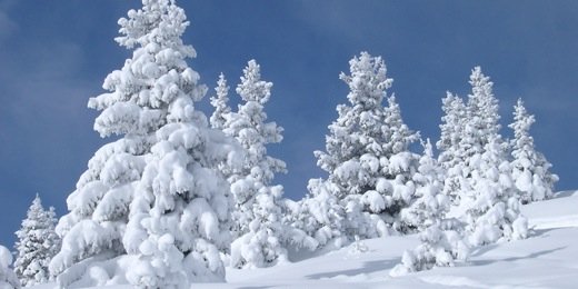 steven_d_c's profile banner image