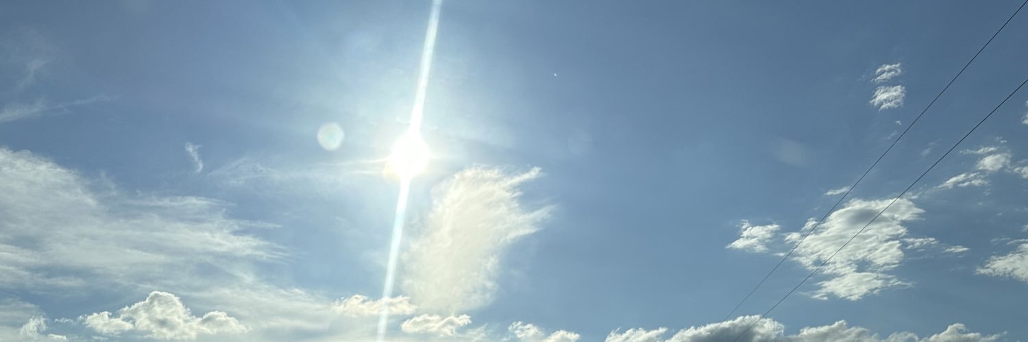 Artist Alliance banner