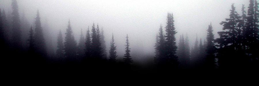 devotee_'s profile banner image