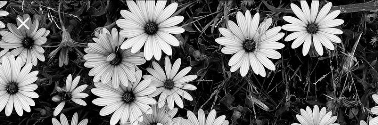 kaylaharrisonn's profile banner image