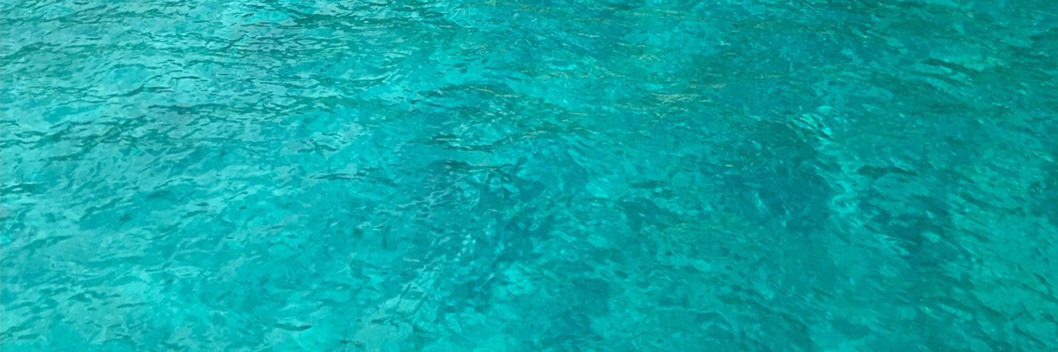 wendyxe_'s profile banner image