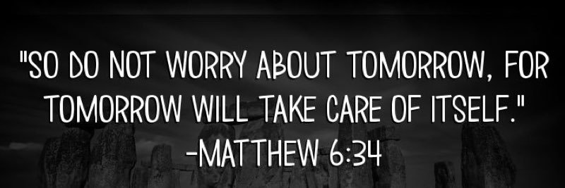 Lauren Jarecki banner