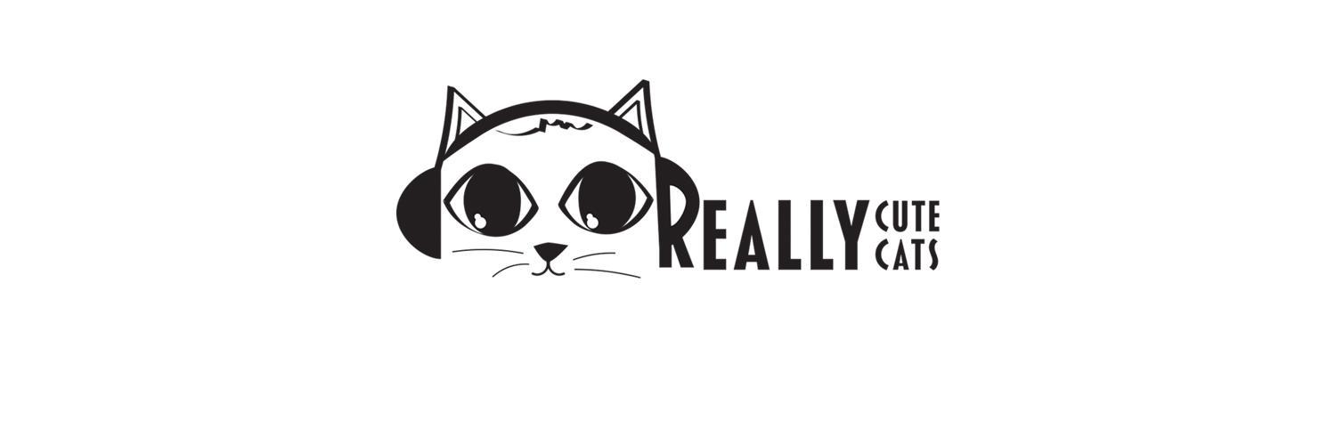 ReallyCuteCats's profile banner image
